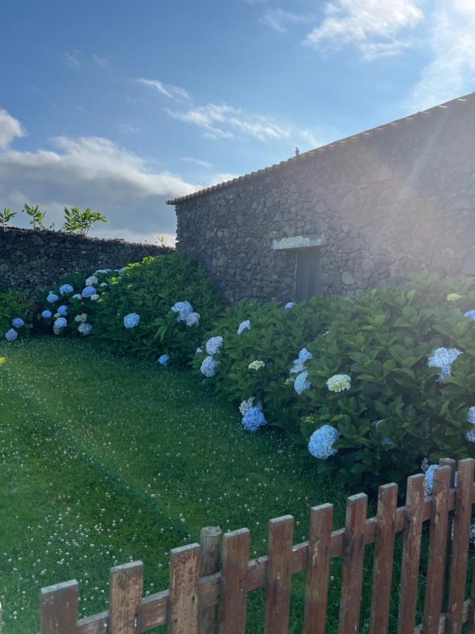 Arrenquinha Guesthouse 2 Ponta Delgada المظهر الخارجي الصورة